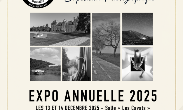 Exposition annuelle 2025