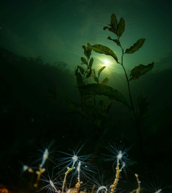 Presentation charleroi-12-Photo