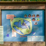 Balade dans les Marais d&rsquo;Harchies