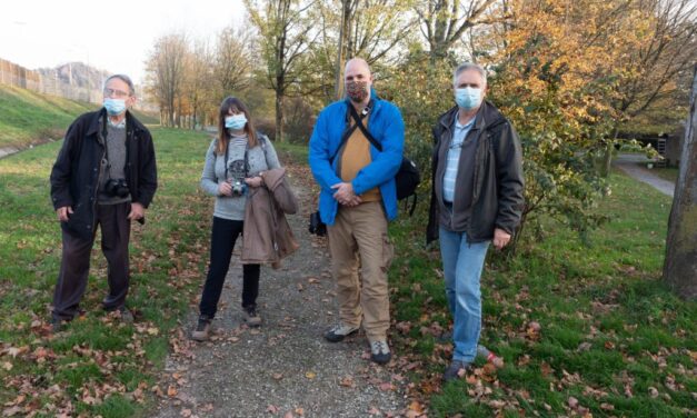 Balade de l&rsquo;après-midi du 07/11/2020