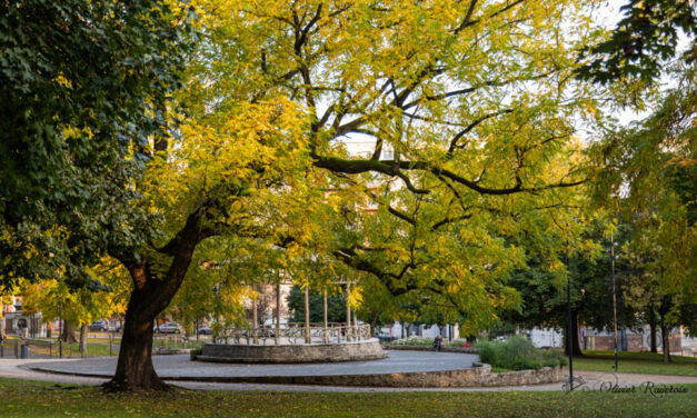 Charleroi – Parcs Reine Astrid et Jacques Depelsenaire