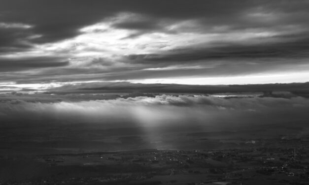 Exposition Benoit De Clerck