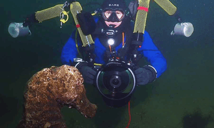 La photographie sous-marine
